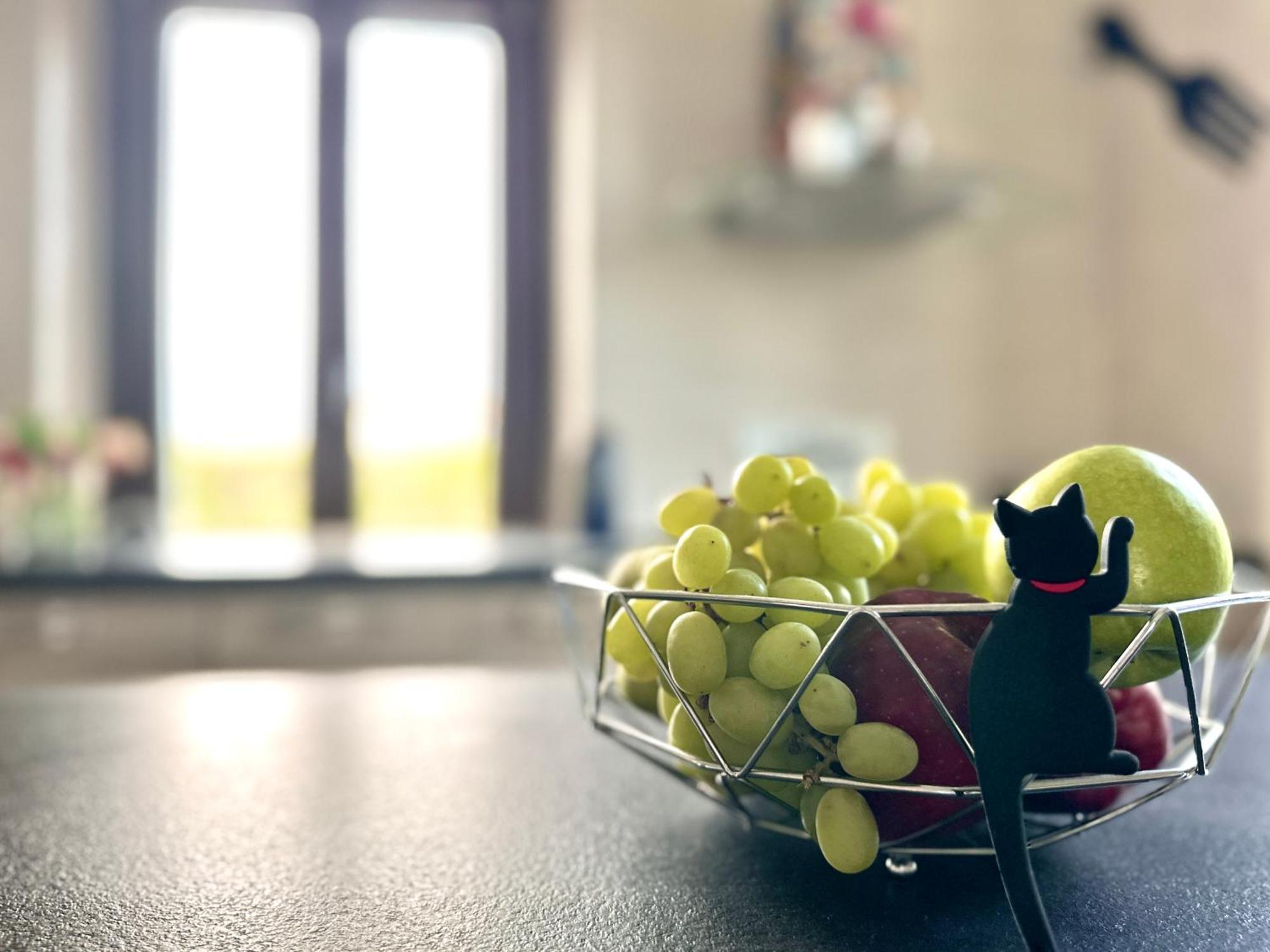 Appartamento In Villa Con Piscina Privata E Jacuzzi Ad Uso Esclusivo Rivarolo Canavese Buitenkant foto